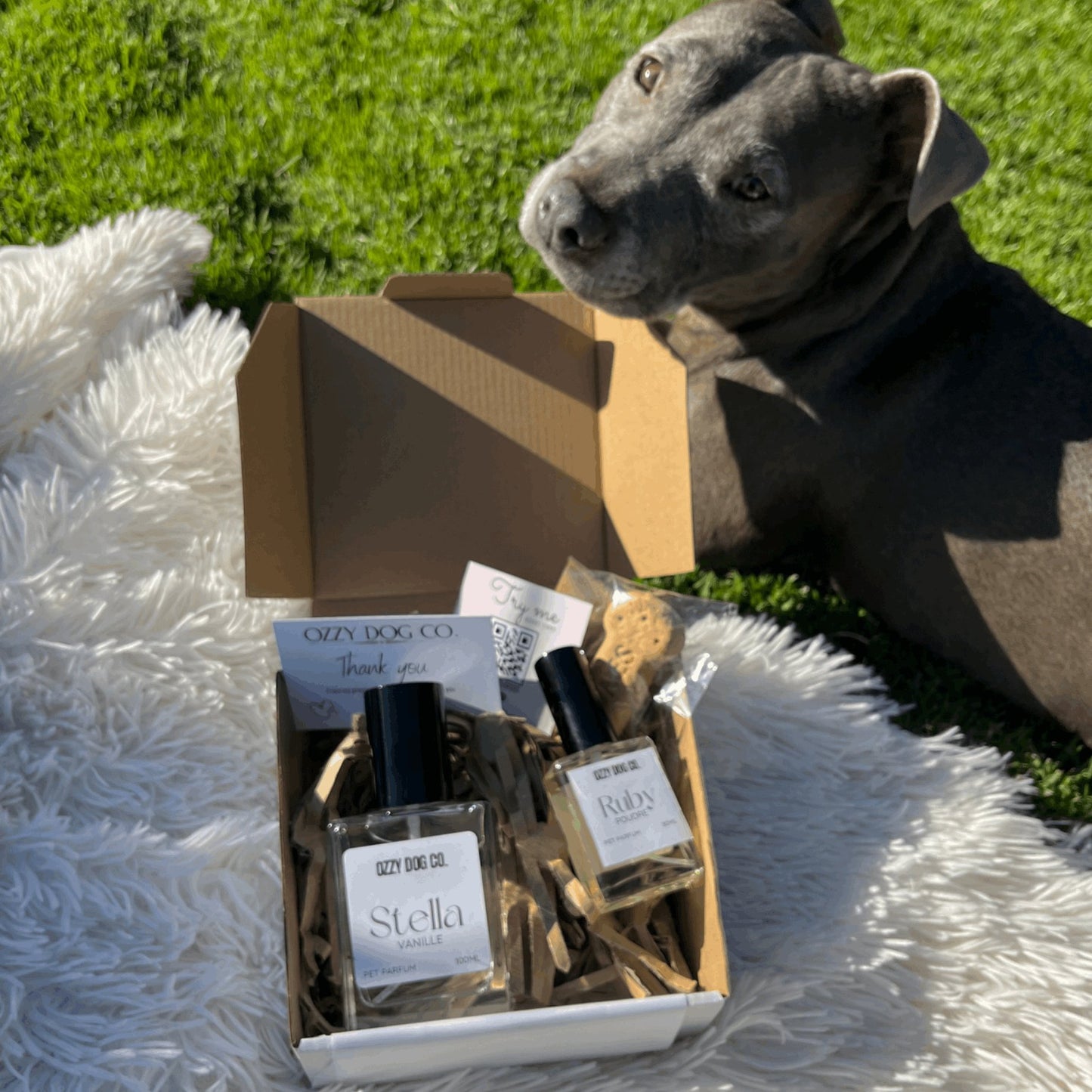 Dog Perfume | CLASSIQUE - Ozzy Dog Co.