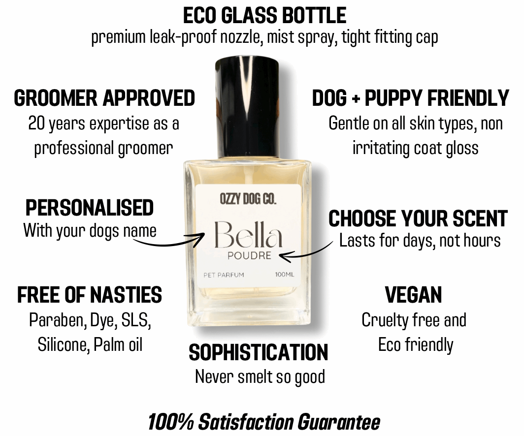 Dog Perfume | COCONUT MILK - Ozzy Dog Co.