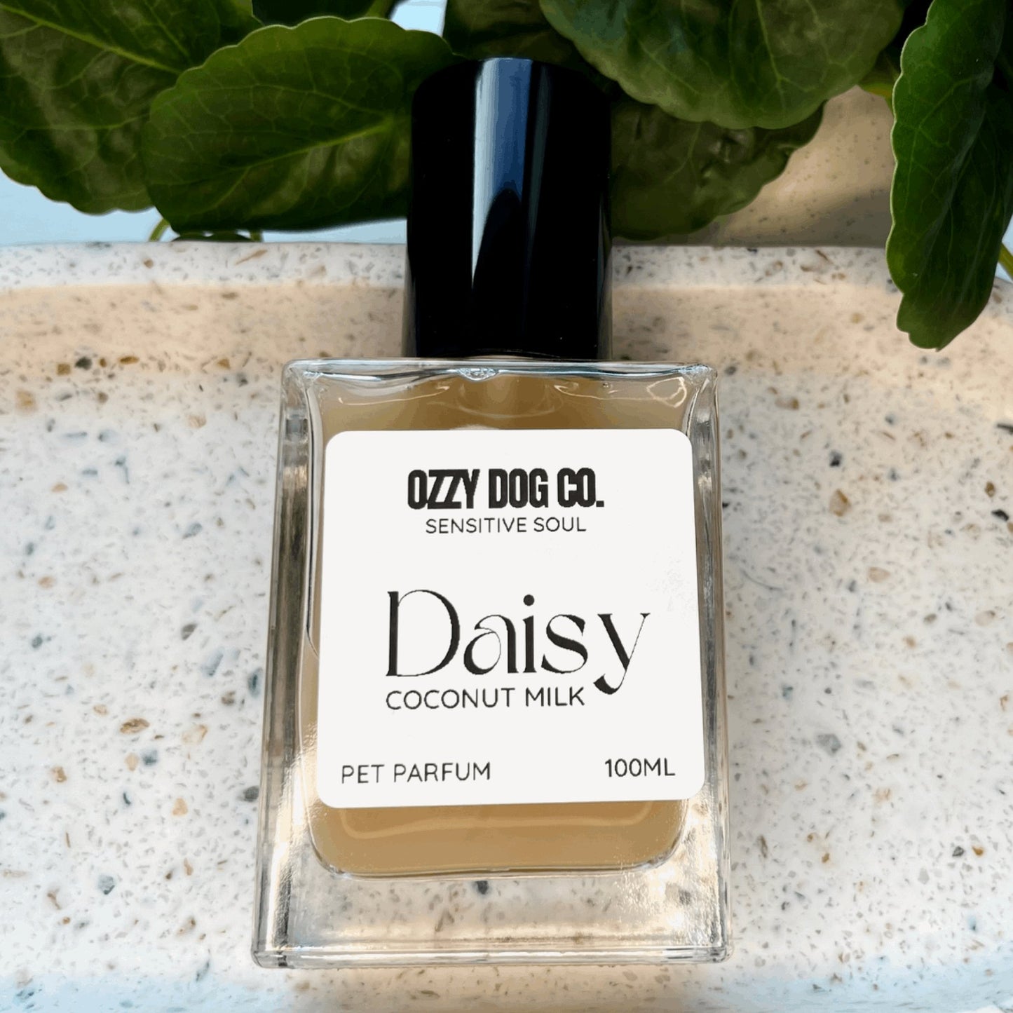 Dog Perfume | COCONUT MILK - Ozzy Dog Co.