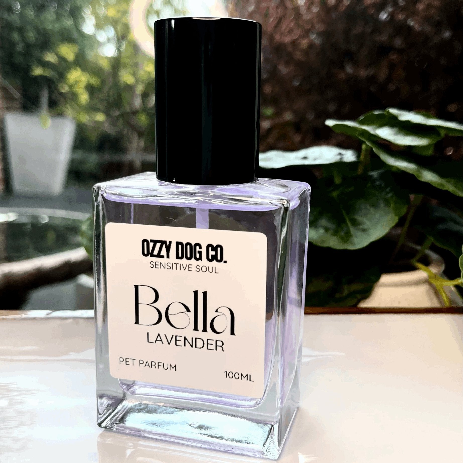 Dog Perfume | LAVENDER - Ozzy Dog Co.