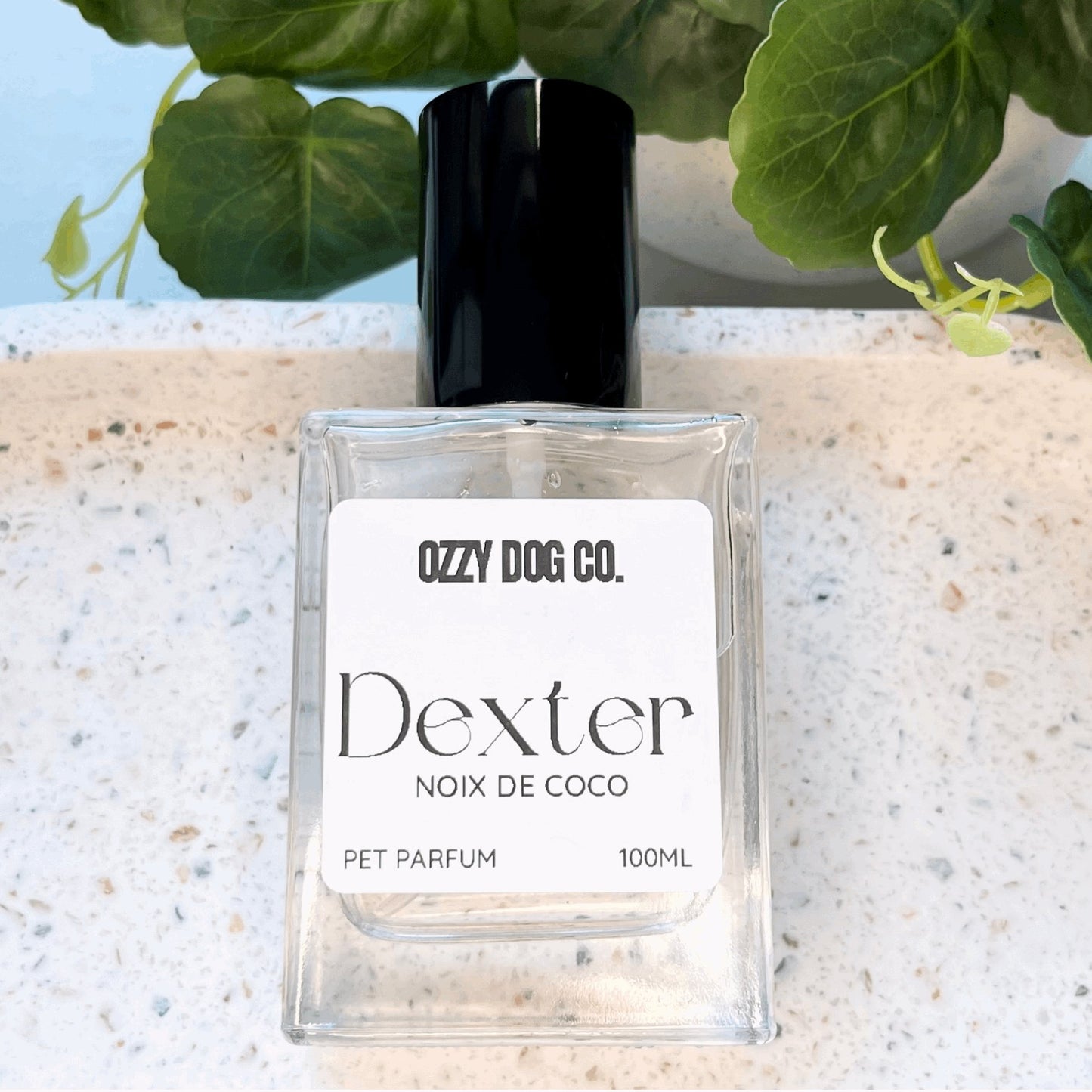 Dog Perfume | NOIX DE COCO - Ozzy Dog Co.