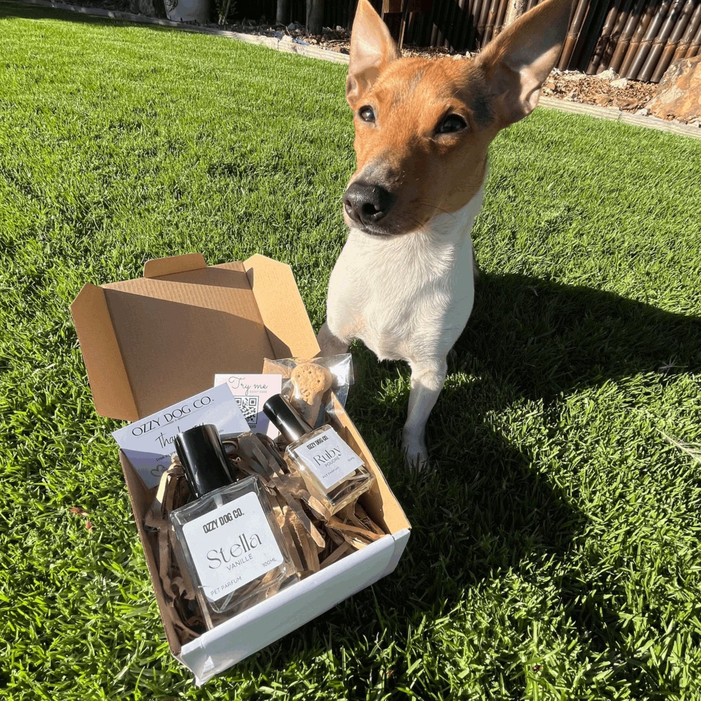 Dog Perfume | POUDRE - Ozzy Dog Co.