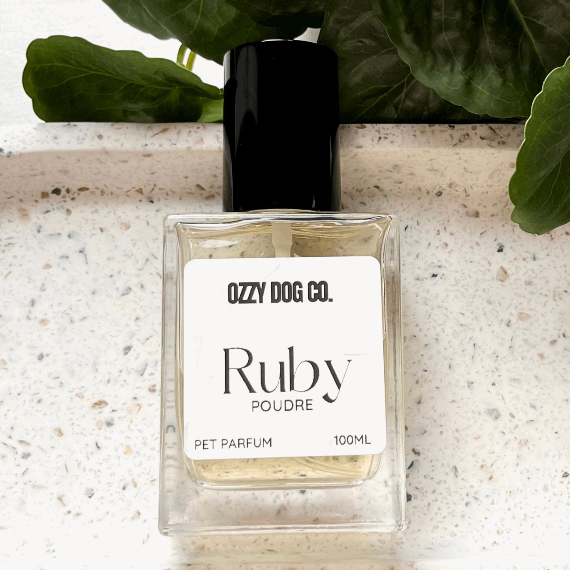 Dog Perfume | POUDRE - Ozzy Dog Co.