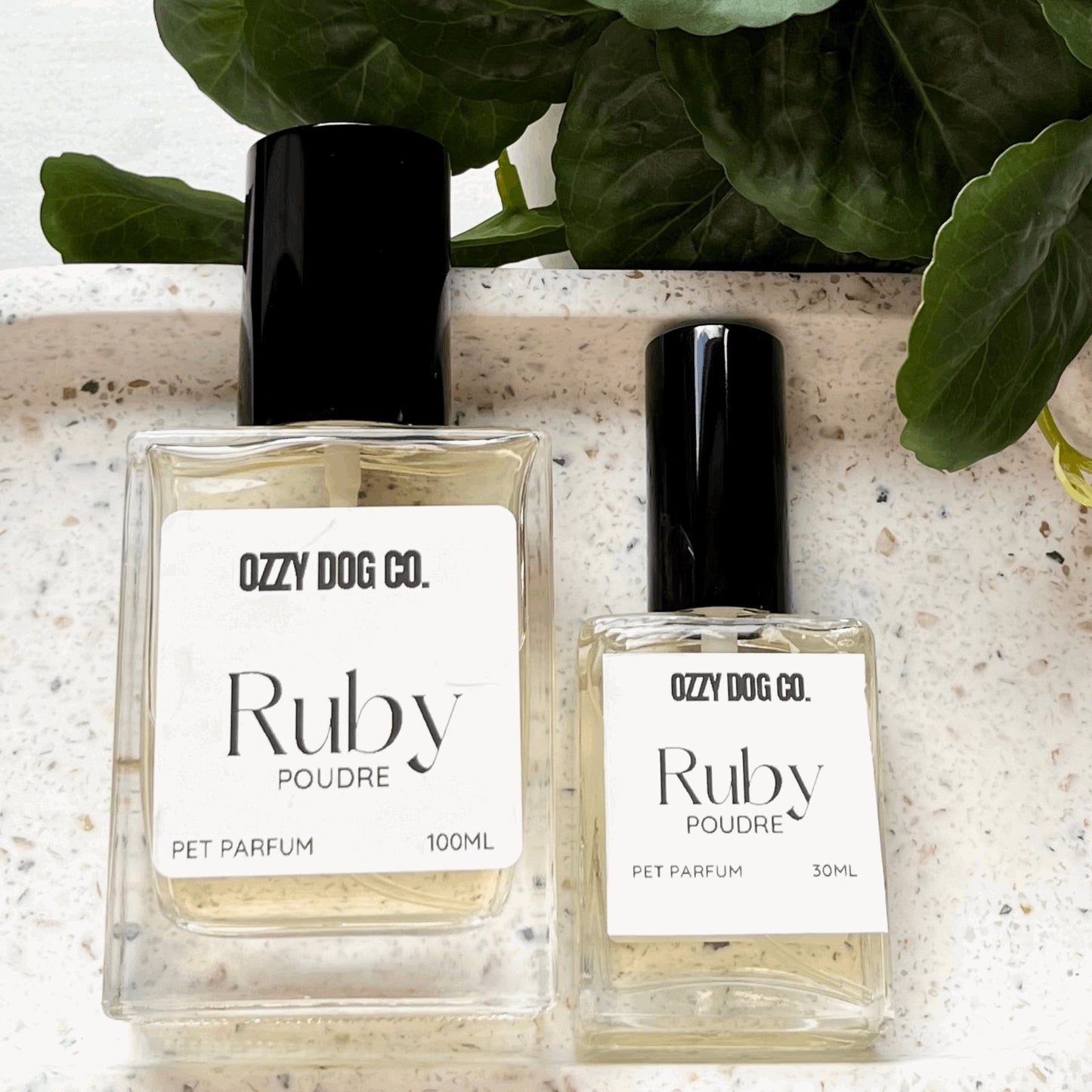 Dog Perfume | POUDRE - Ozzy Dog Co.