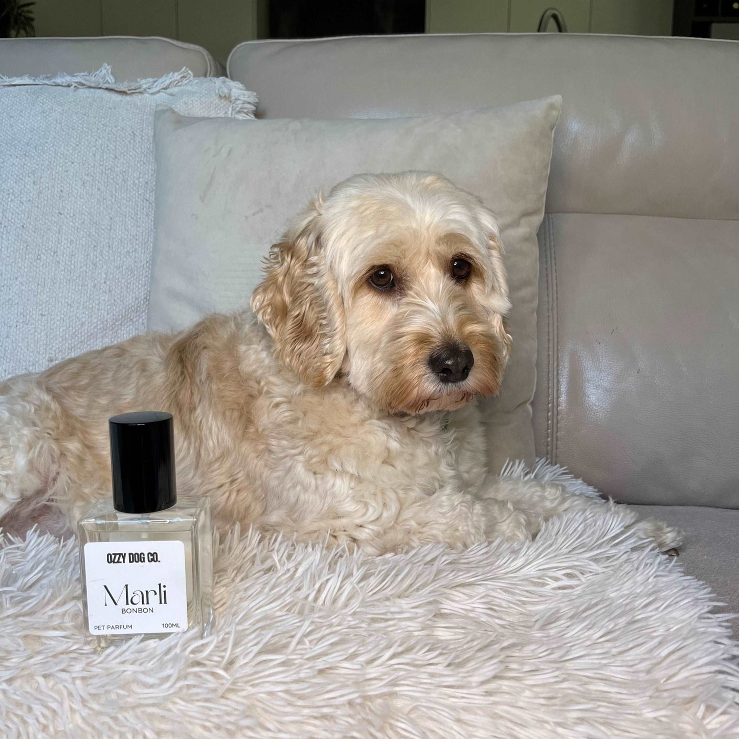 Dog Perfume | POUDRE - Ozzy Dog Co.