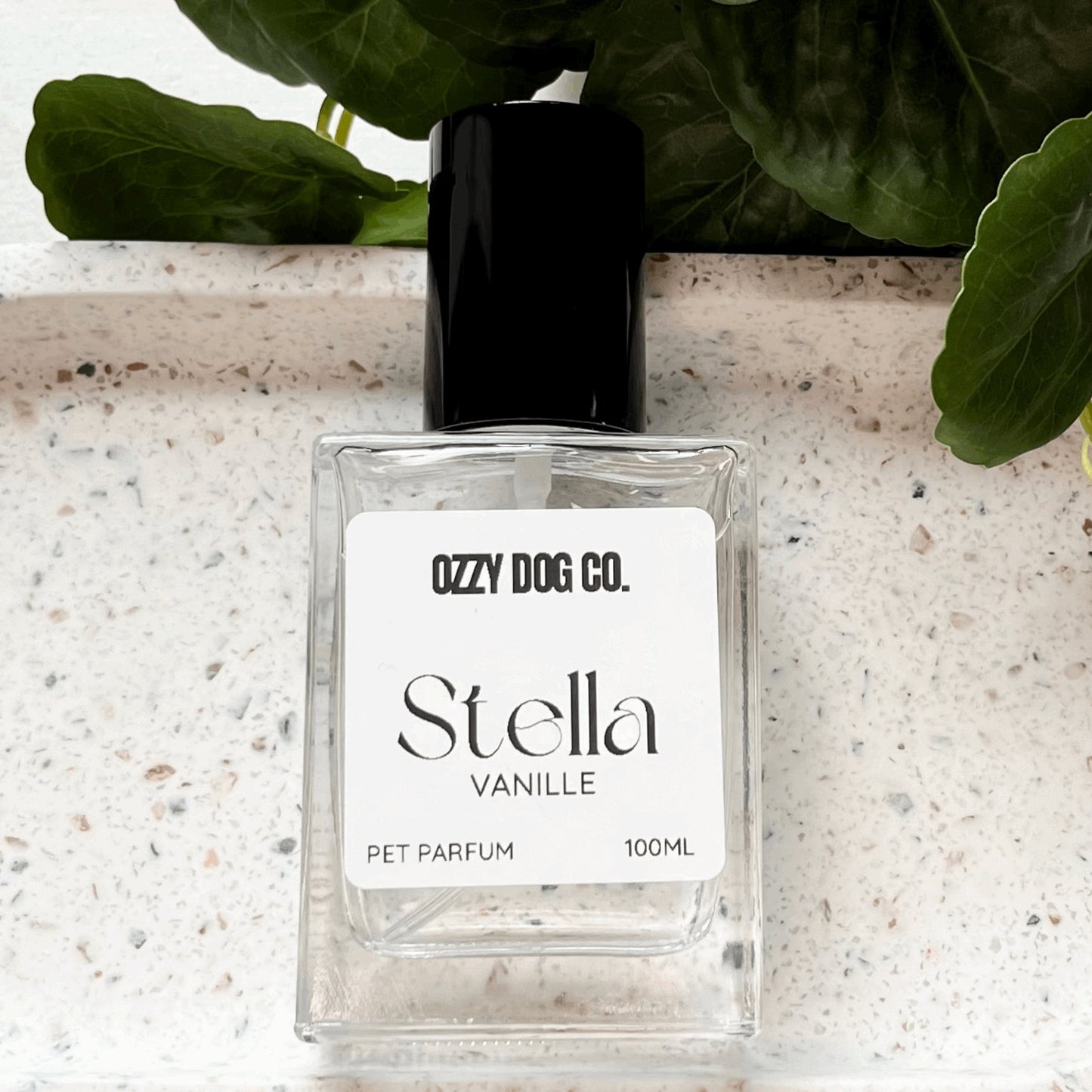 Dog Perfume | VANILLE - Ozzy Dog Co.